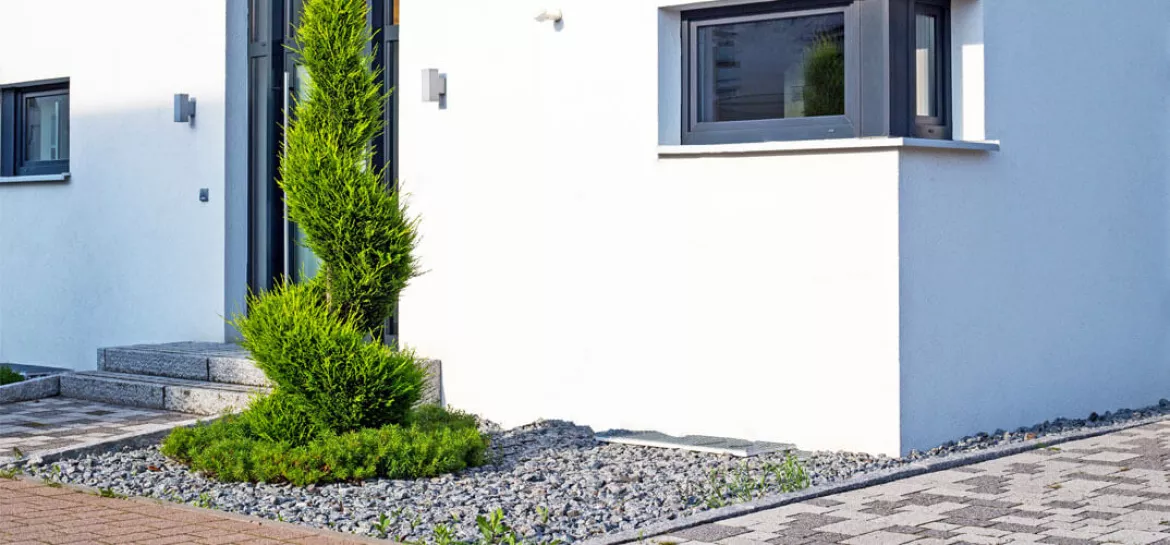 Mit Beton ausgebesserte Fassade eines weißen Hauses und eine Pflanze