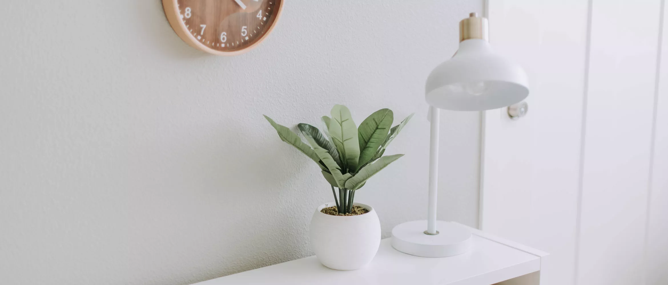 Weiße Wand, eine Pflanze und eine Lampe