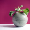 Ambientebild kleiner, runder Blumentopf - verarbeitet mit Kreativ Beton small von SAKRET