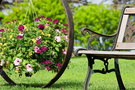 Detail einer Gartenbank und eine Pflanze mit Blumen