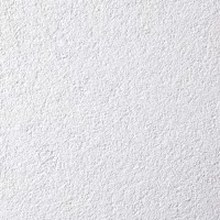 Musterbild des Produktes Scheibenputz in 2 mm in weiß