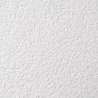 Musterbild des Produktes Scheibenputz in 3 mm in weiß