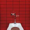 Ambientebild rote Fliesen hinter Toilette - verarbeitet mit Fugenmasse von SAKRET